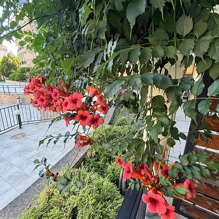 Lägenhet Luxor Sveti Vlas